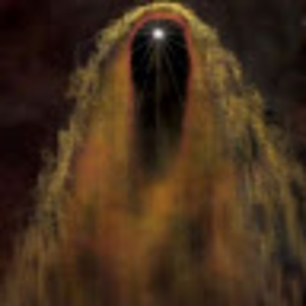 Meet your Posher, Ella